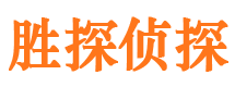 龙游侦探公司